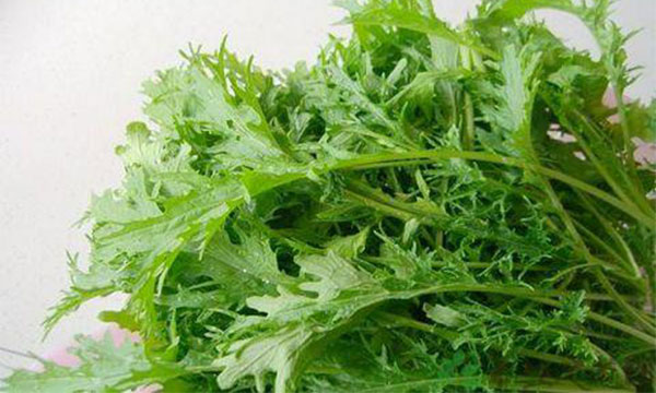 ��ѩ����Ҫ��ʲô ��ѩ�����˳Ե�ʳ��